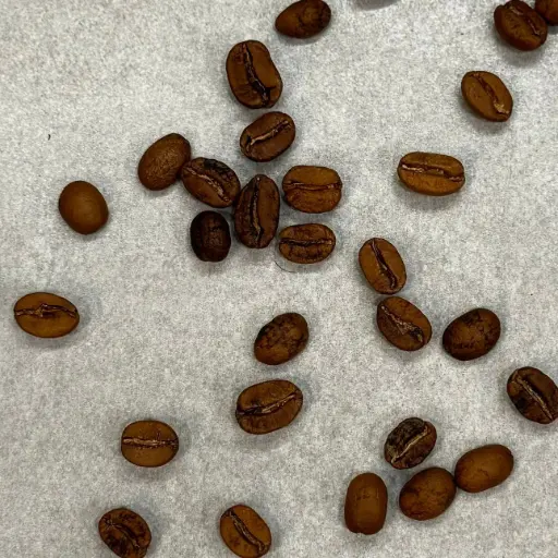 Tanzania beans bag 250